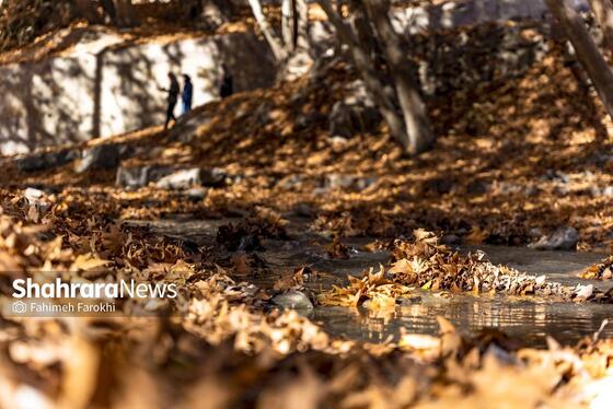 گزارش تصویری | طبیعت پاییزی شاندیز