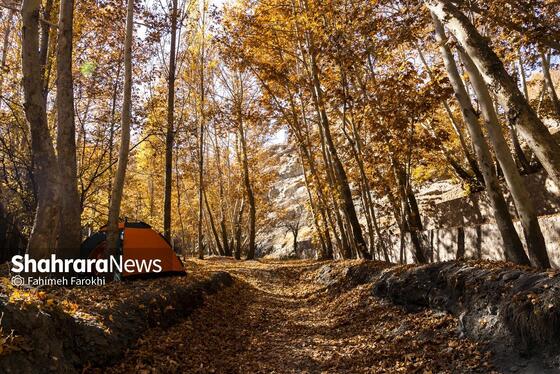 گزارش تصویری | طبیعت پاییزی شاندیز