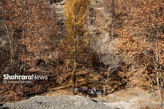 گزارش تصویری | طبیعت پاییزی شاندیز