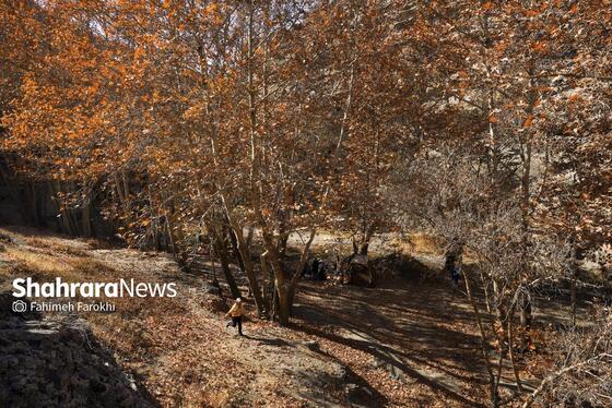 گزارش تصویری | طبیعت پاییزی شاندیز