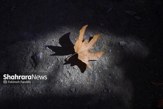 گزارش تصویری | طبیعت پاییزی شاندیز