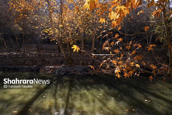 گزارش تصویری | طبیعت پاییزی شاندیز