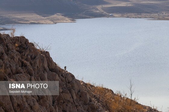 گزارش تصویری | پشت سدهای خالی؛ ثبت بحران آب در شرق کشور