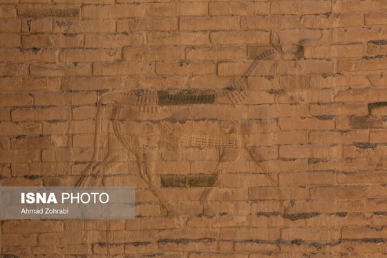 گزارش تصویری | شهر باستانی بابل - عراق