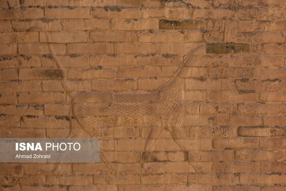 گزارش تصویری | شهر باستانی بابل - عراق