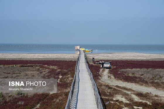 گزارش تصویری | آخرین نفس‌های بزرگ‌ترین خلیج خزر÷