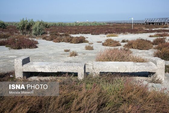 گزارش تصویری | آخرین نفس‌های بزرگ‌ترین خلیج خزر÷