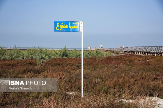 گزارش تصویری | آخرین نفس‌های بزرگ‌ترین خلیج خزر÷