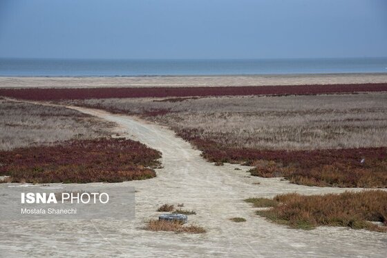 گزارش تصویری | آخرین نفس‌های بزرگ‌ترین خلیج خزر÷