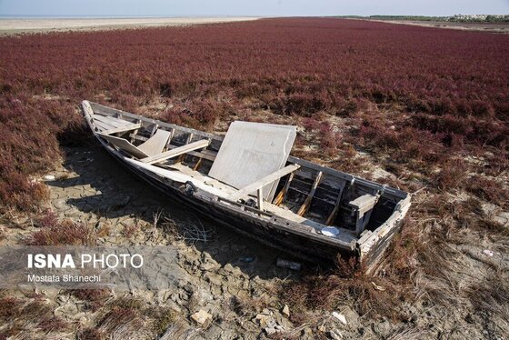 گزارش تصویری | آخرین نفس‌های بزرگ‌ترین خلیج خزر÷