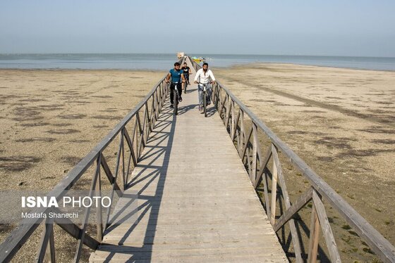 گزارش تصویری | آخرین نفس‌های بزرگ‌ترین خلیج خزر÷