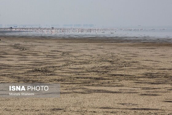 گزارش تصویری | آخرین نفس‌های بزرگ‌ترین خلیج خزر÷