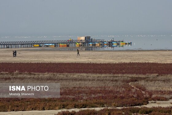 گزارش تصویری | آخرین نفس‌های بزرگ‌ترین خلیج خزر÷