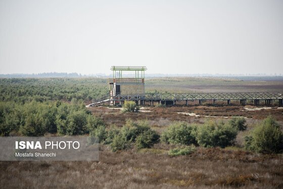 گزارش تصویری | آخرین نفس‌های بزرگ‌ترین خلیج خزر÷