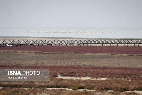 گزارش تصویری | آخرین نفس‌های بزرگ‌ترین خلیج خزر÷