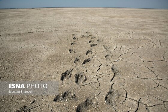 گزارش تصویری | آخرین نفس‌های بزرگ‌ترین خلیج خزر÷