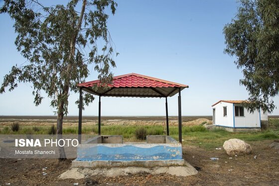 گزارش تصویری | آخرین نفس‌های بزرگ‌ترین خلیج خزر÷