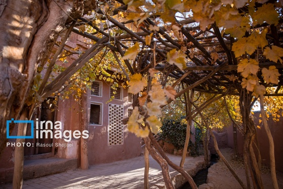 ایران زیباست | پائیز در ابیانه