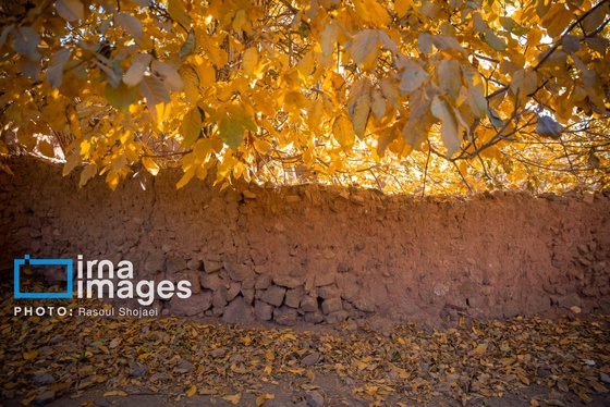 ایران زیباست | پائیز در ابیانه