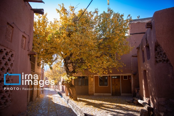 ایران زیباست | پائیز در ابیانه