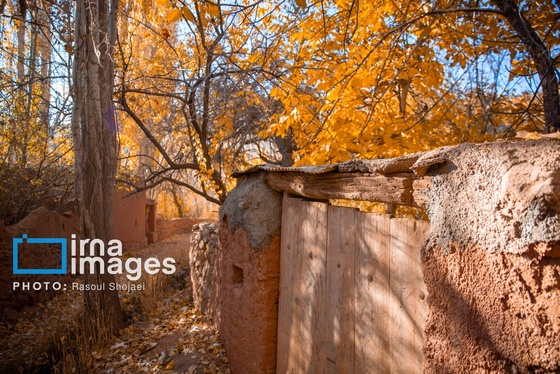 ایران زیباست | پائیز در ابیانه