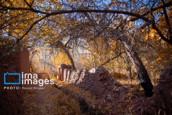 ایران زیباست | پائیز در ابیانه