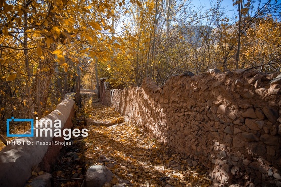 ایران زیباست | پائیز در ابیانه