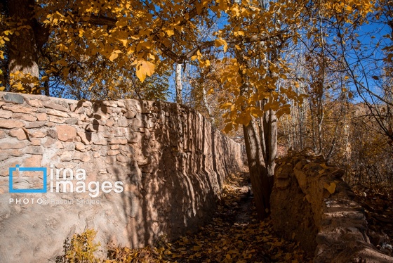 ایران زیباست | پائیز در ابیانه