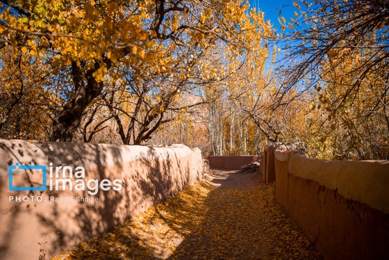 ایران زیباست | پائیز در ابیانه