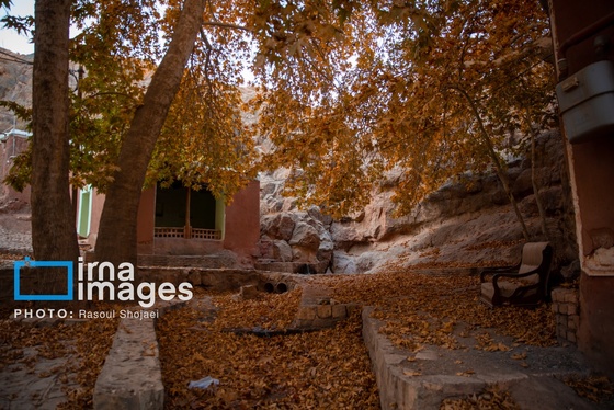 ایران زیباست | پائیز در ابیانه