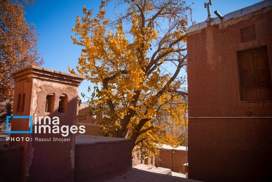 ایران زیباست | پائیز در ابیانه