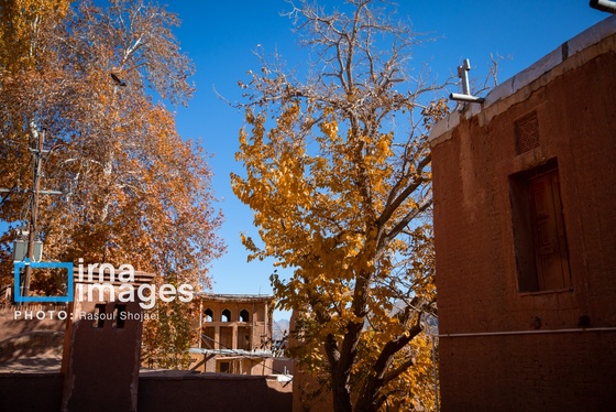 ایران زیباست | پائیز در ابیانه