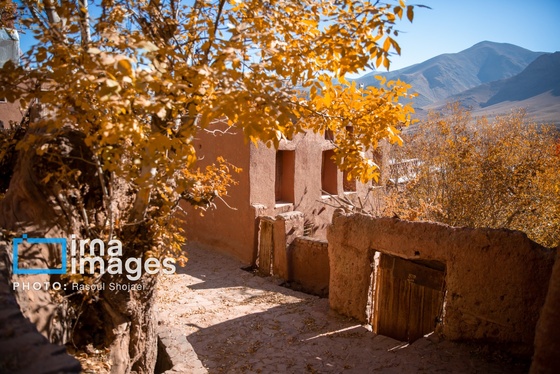 ایران زیباست | پائیز در ابیانه