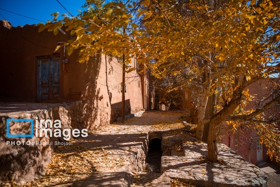 ایران زیباست | پائیز در ابیانه