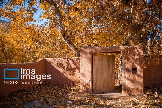 ایران زیباست | پائیز در ابیانه