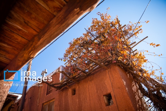 ایران زیباست | پائیز در ابیانه