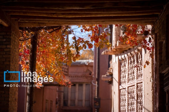 ایران زیباست | پائیز در ابیانه