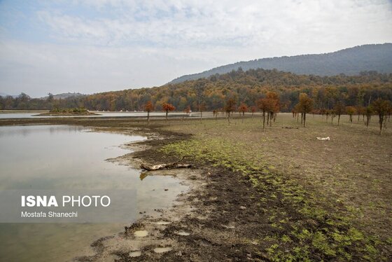 گزارش تصویری | پاییز خشک مازندران