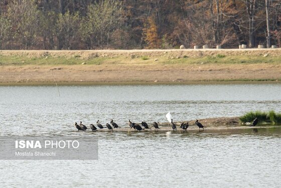 گزارش تصویری | پاییز خشک مازندران