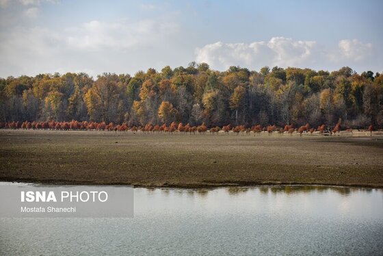 گزارش تصویری | پاییز خشک مازندران