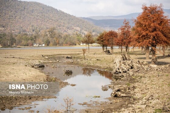 گزارش تصویری | پاییز خشک مازندران