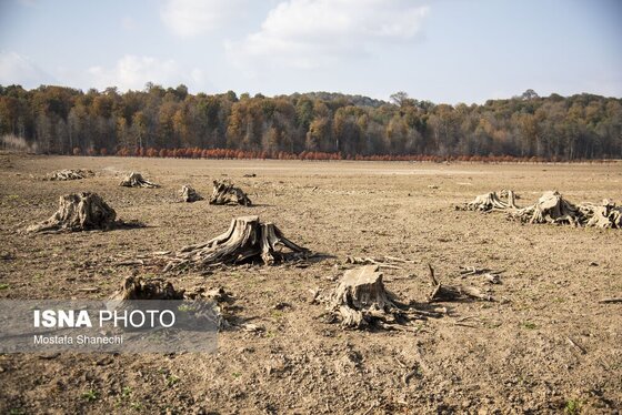 گزارش تصویری | پاییز خشک مازندران