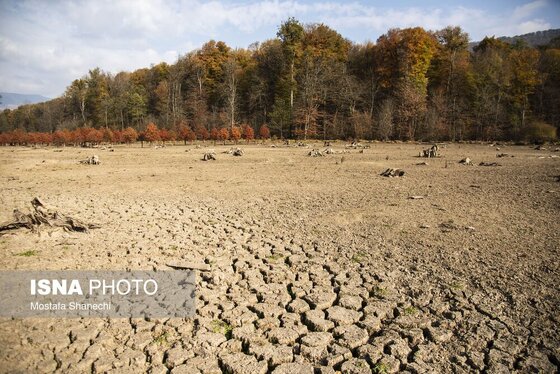 گزارش تصویری | پاییز خشک مازندران