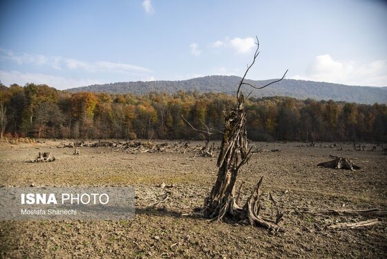 گزارش تصویری | پاییز خشک مازندران