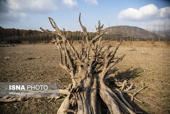 گزارش تصویری | پاییز خشک مازندران