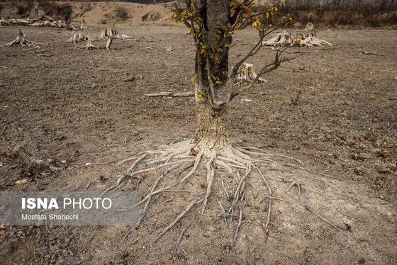 گزارش تصویری | پاییز خشک مازندران