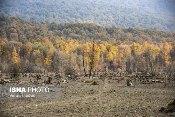 گزارش تصویری | پاییز خشک مازندران