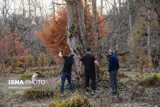 گزارش تصویری | پاییز خشک مازندران