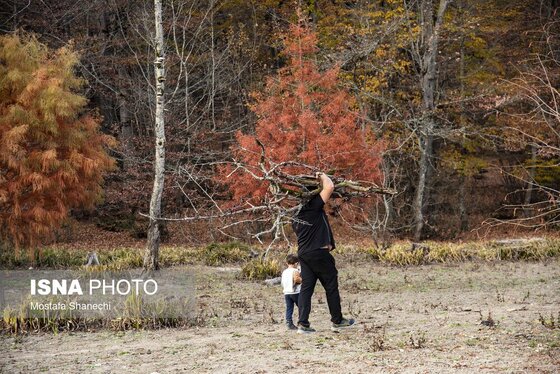 گزارش تصویری | پاییز خشک مازندران