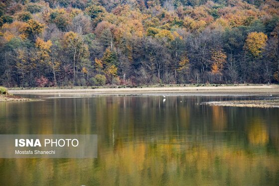 گزارش تصویری | پاییز خشک مازندران